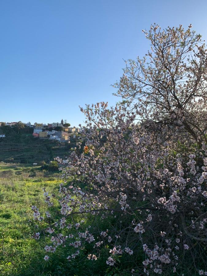 El Sosiego, Der Rueckzugsort Santa Brígida Екстериор снимка